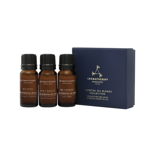 Day to Night Home Fragrance Collection