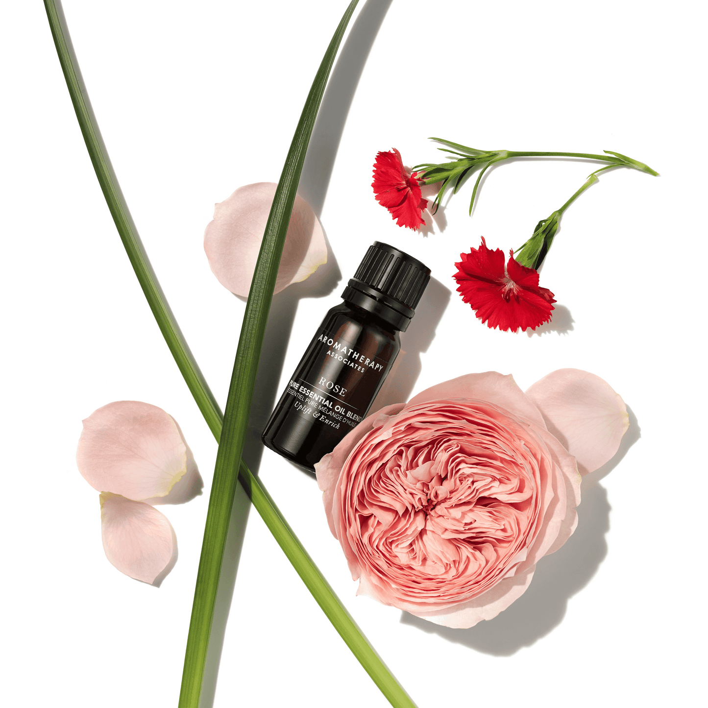 Rose Home Fragrance Duo